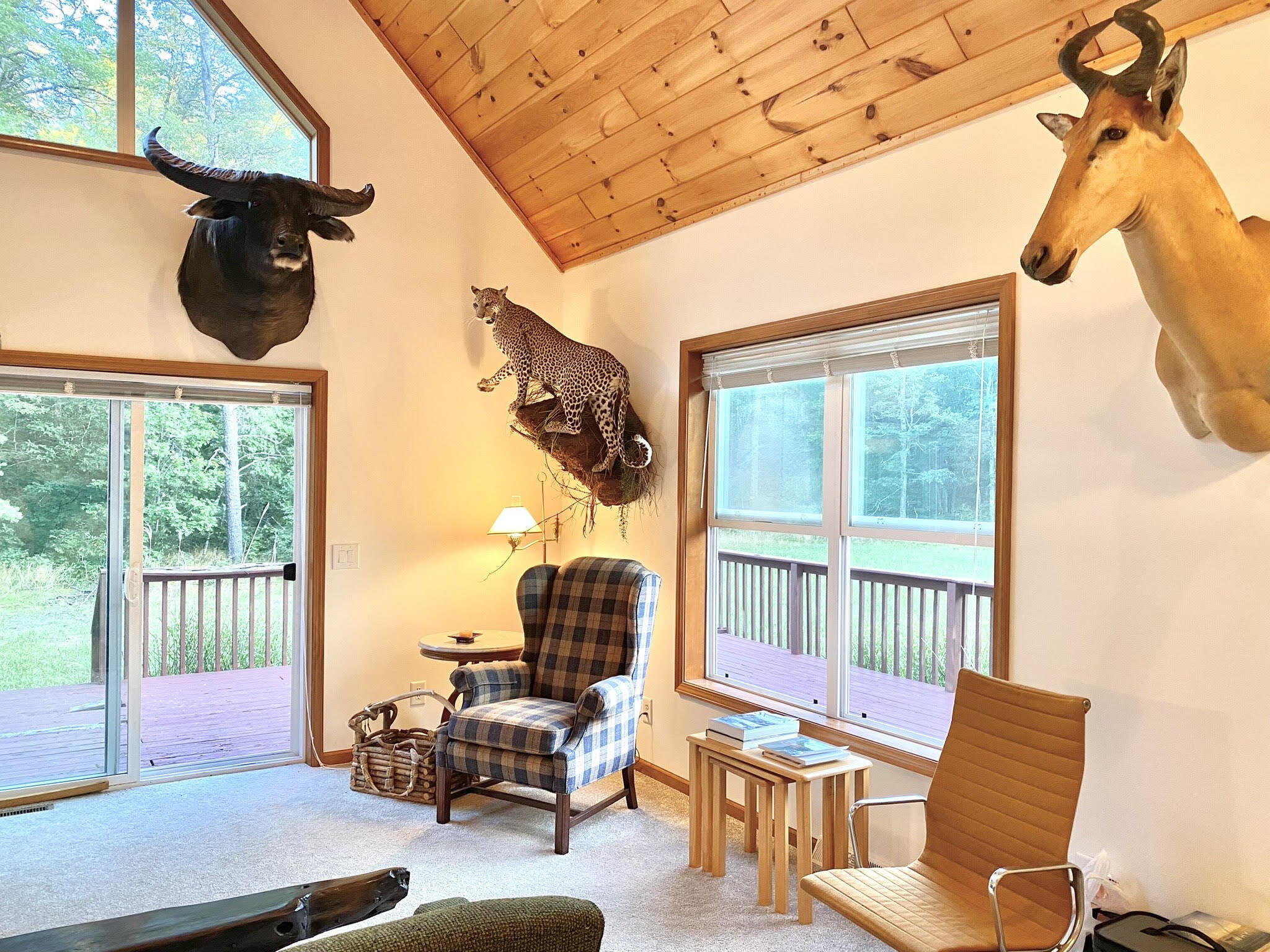 151 Stoney Ridge Road Wellston, MI 49689 - Photo 7 of 25 unnamed (10)