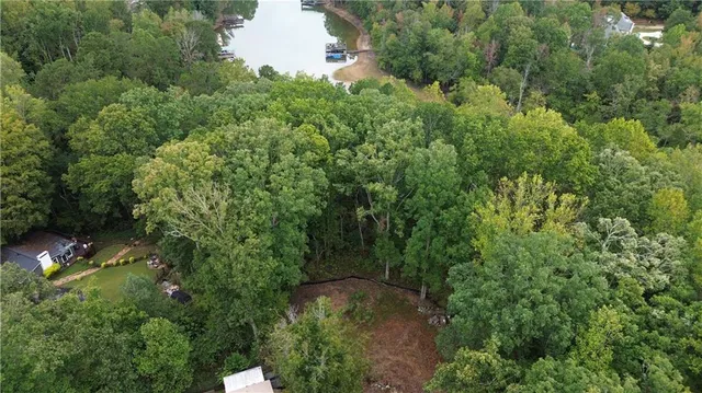 an aerial view of a house with a yard and large trees