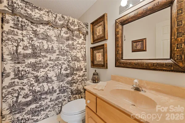a bathroom with a sink and a toilet