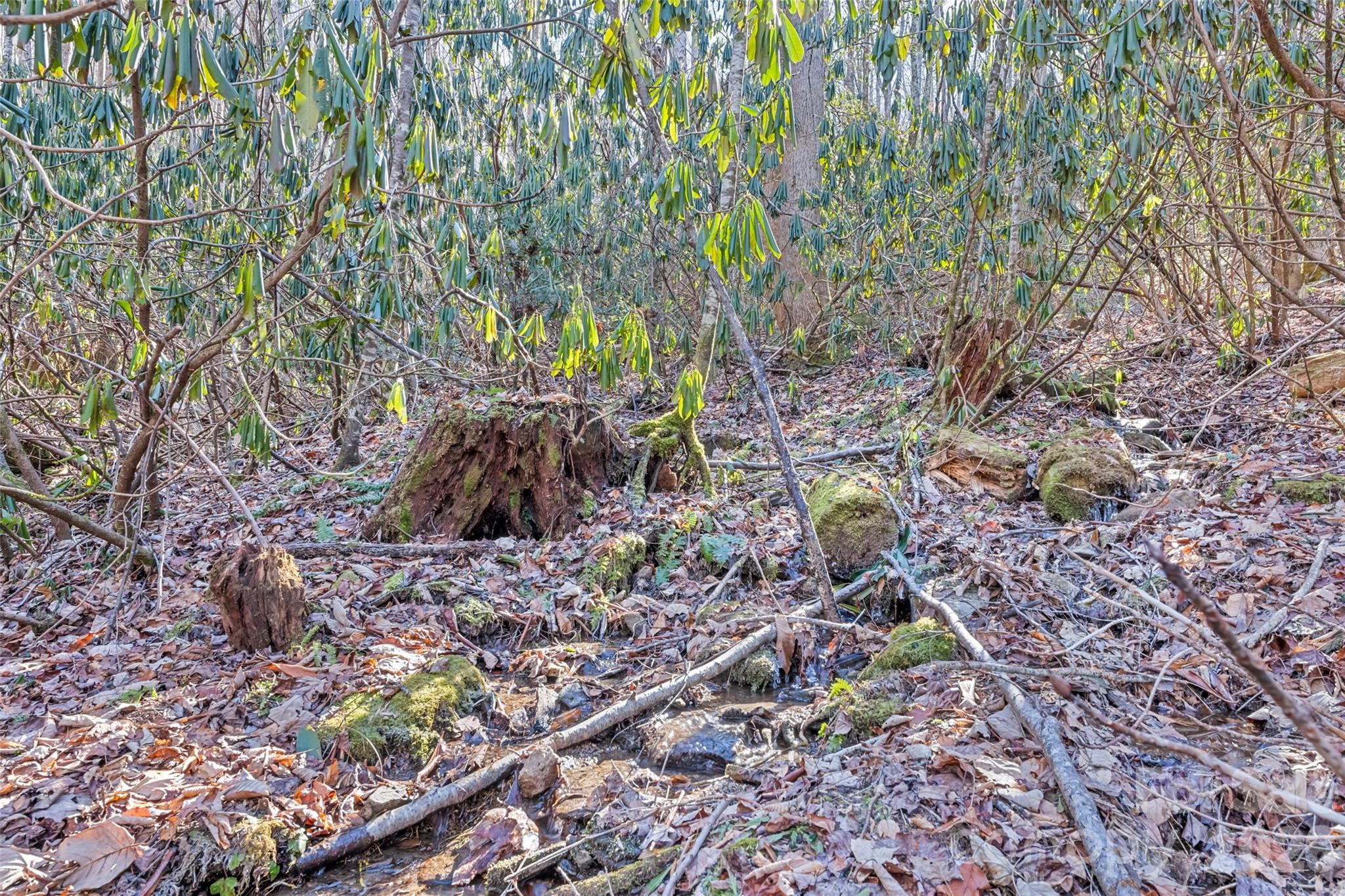 831 Forest Run Road Whittier, NC 28789 - Photo 31 of 44