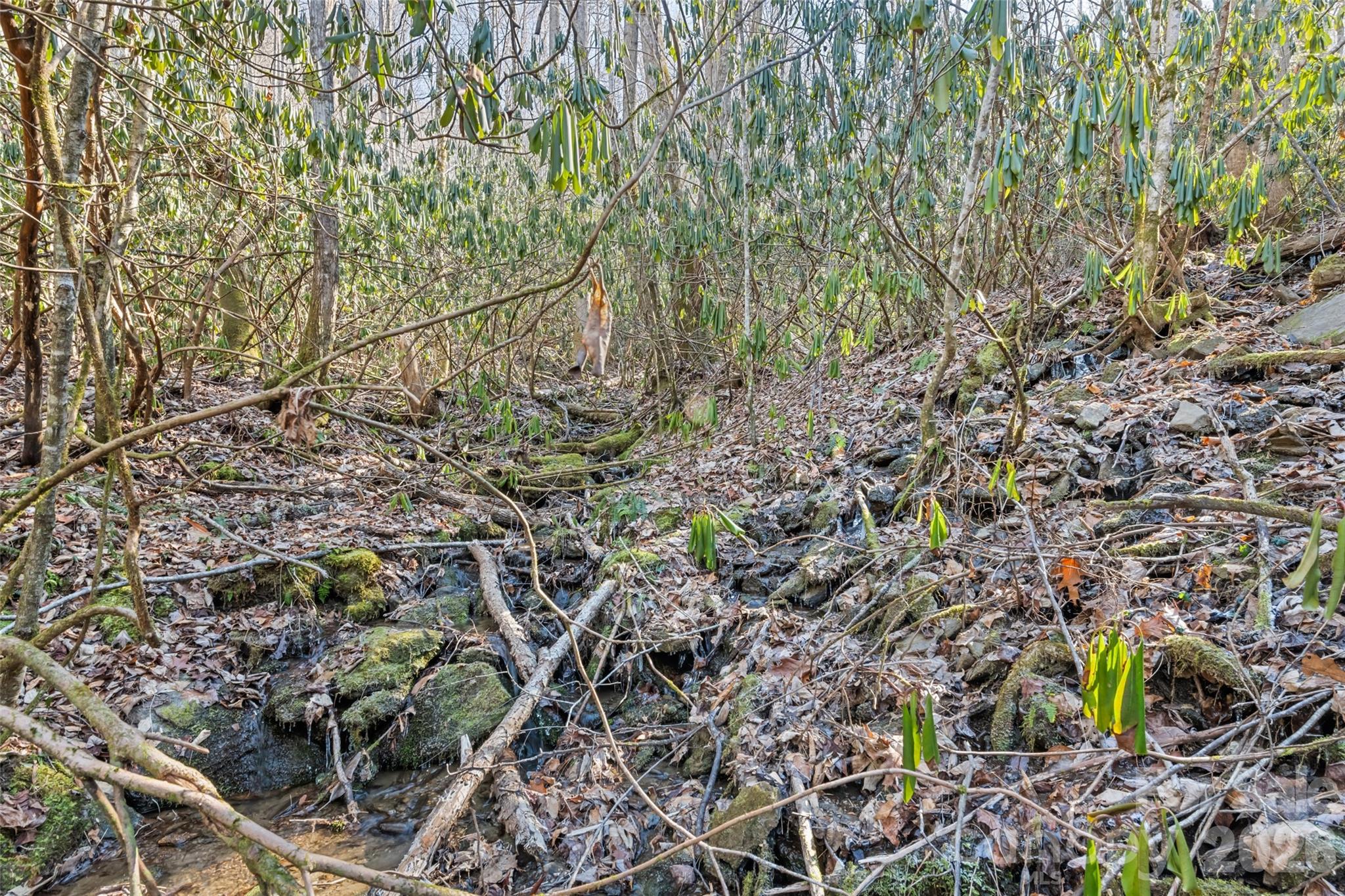 831 Forest Run Road Whittier, NC 28789 - Photo 32 of 44