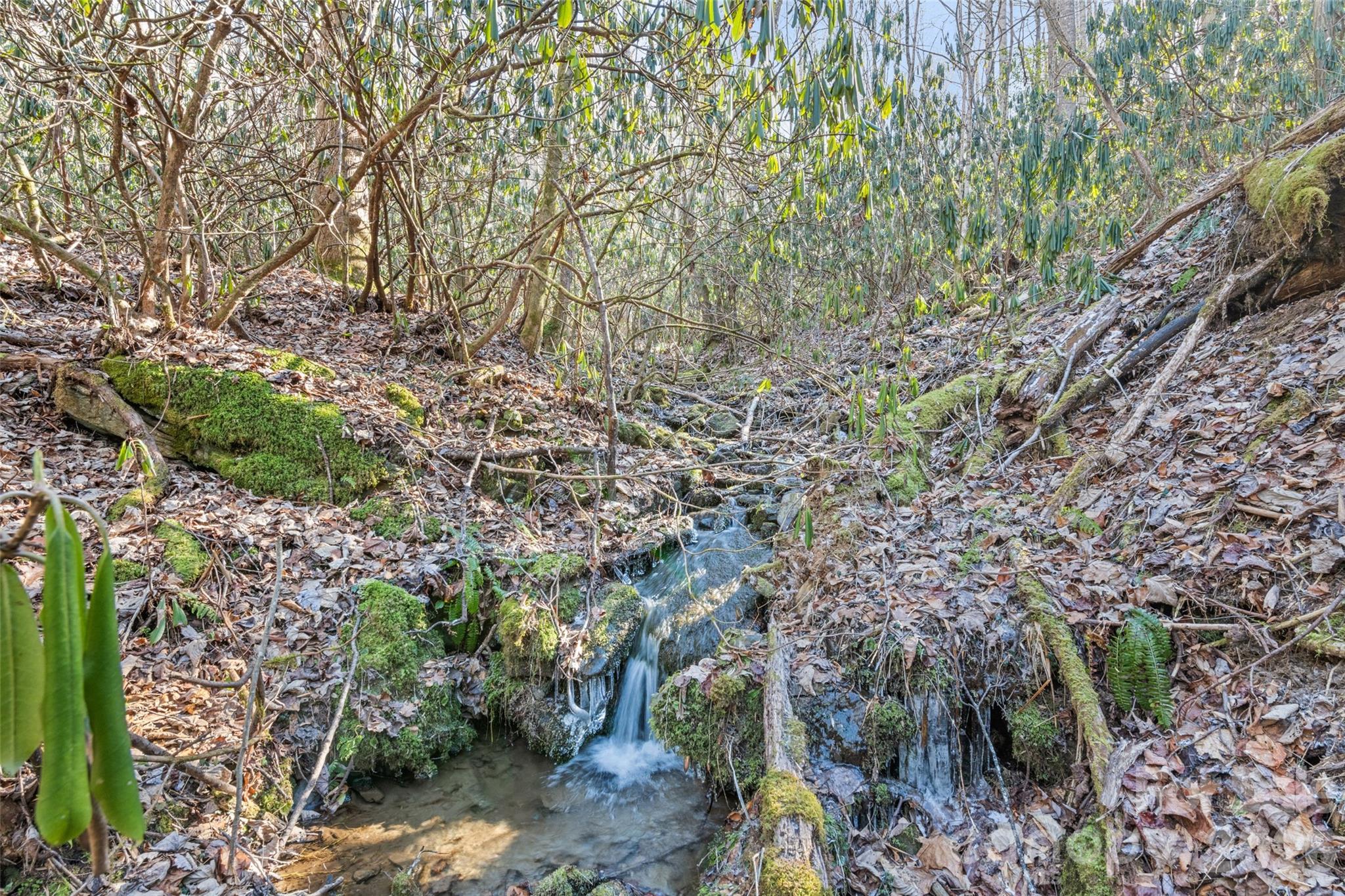 831 Forest Run Road Whittier, NC 28789 - Photo 33 of 44