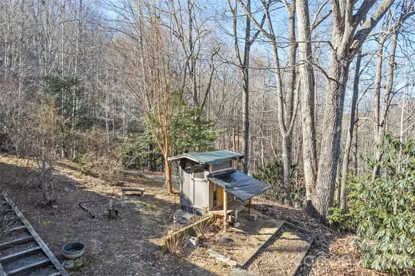 a view of a backyard with chairs and a large tree
