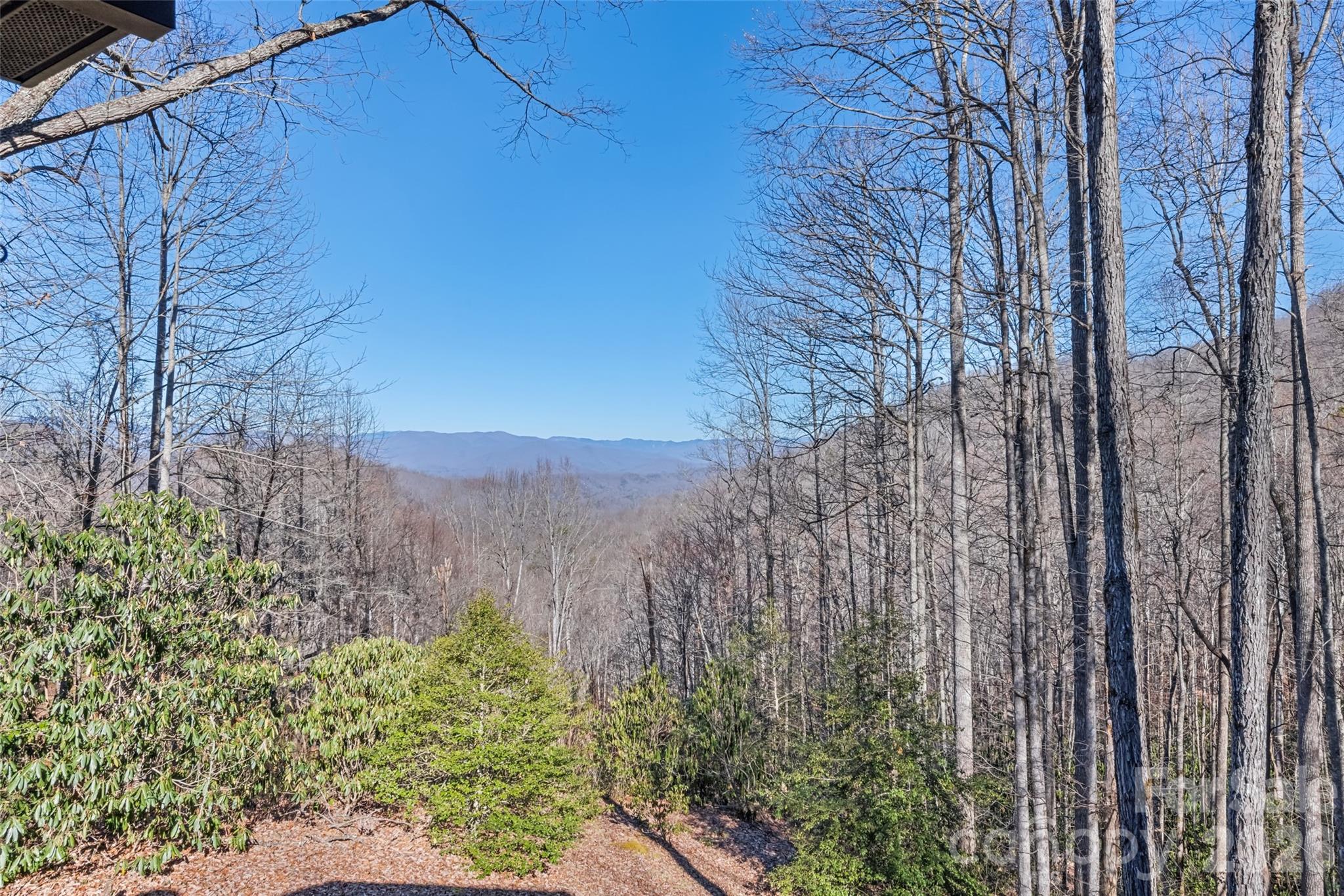 831 Forest Run Road Whittier, NC 28789 - Photo 9 of 44