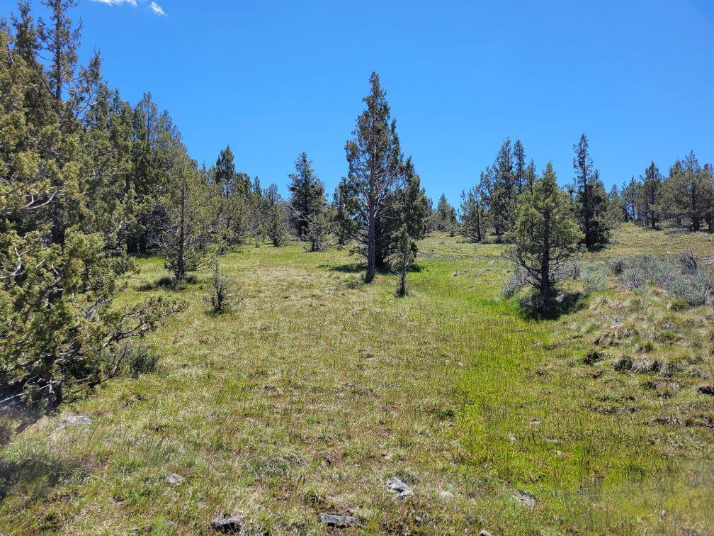 103 Southeast Tbd Road Prineville, OR 97754 - Photo 20 of 35 Resized_20240511_122335_1715616610801