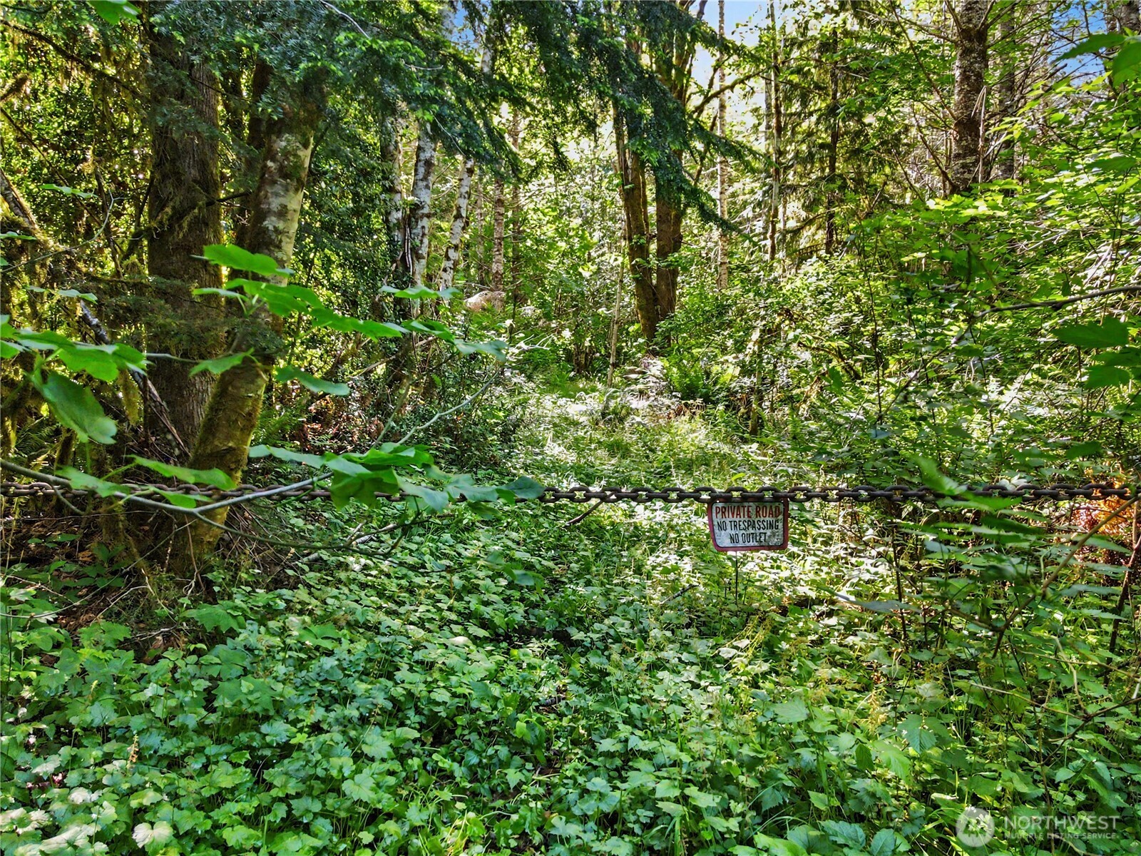 0 Wildwood Road Quilcene, WA 98376 - Photo 14 of 36