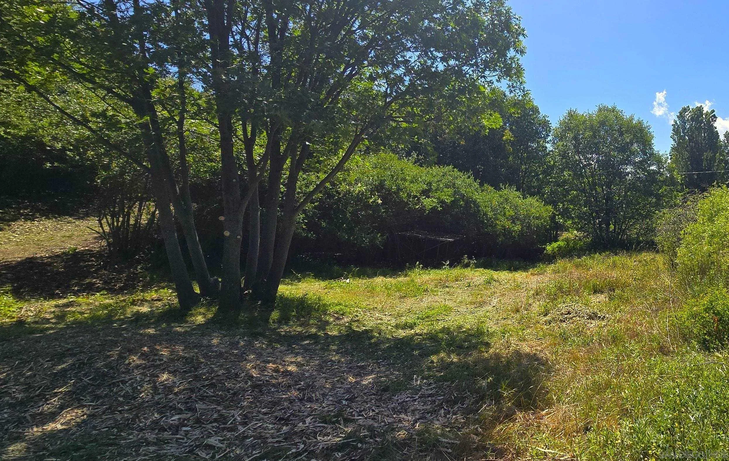 38 Creek Road, Unit 66 13 Julian, CA 92036 - Photo 2 of 16 a view of a yard with large trees