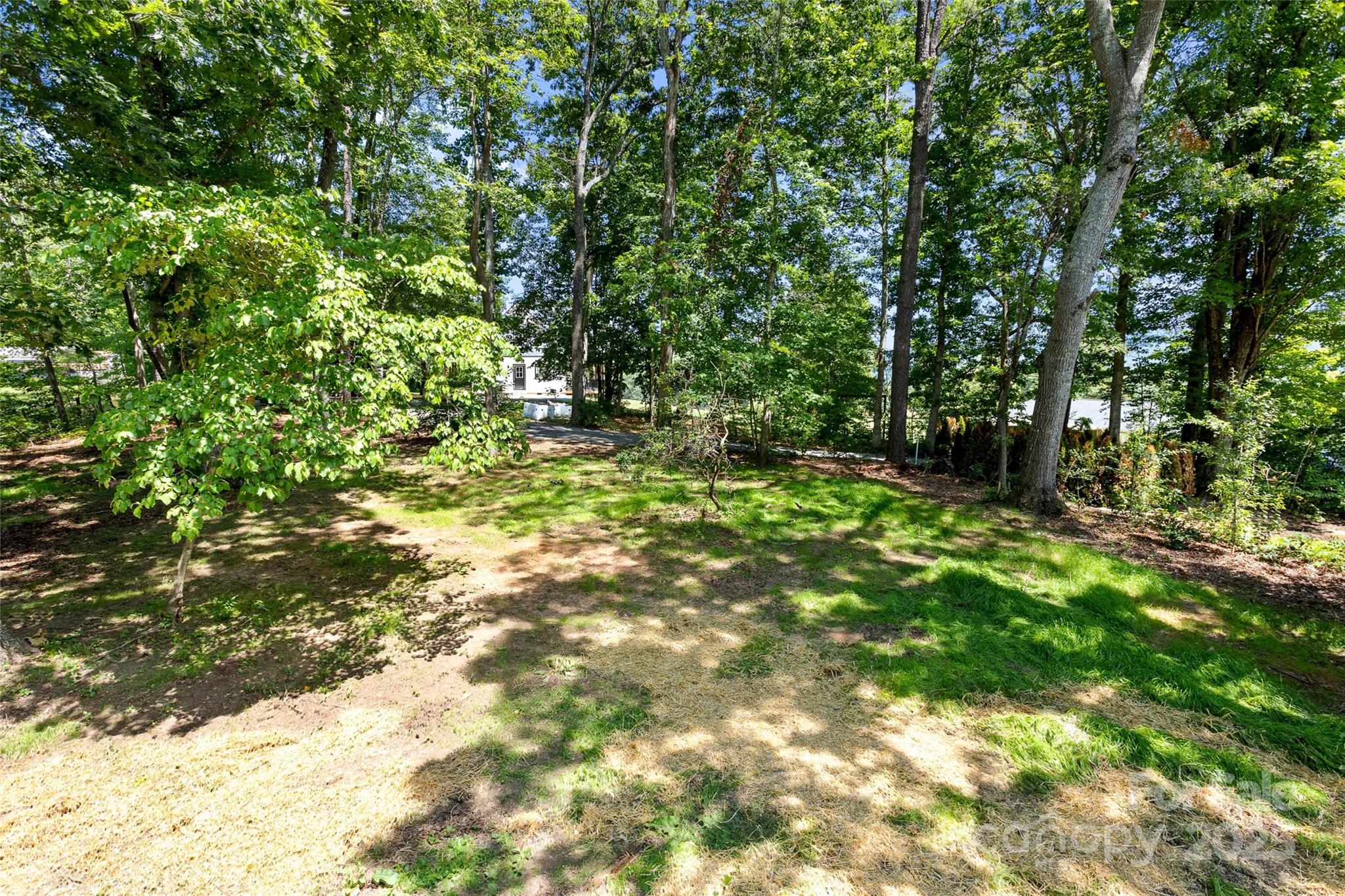 233 Youngs Cove Road Candler, NC 28715 - Photo 29 of 47 a backyard of a house with lots of green space