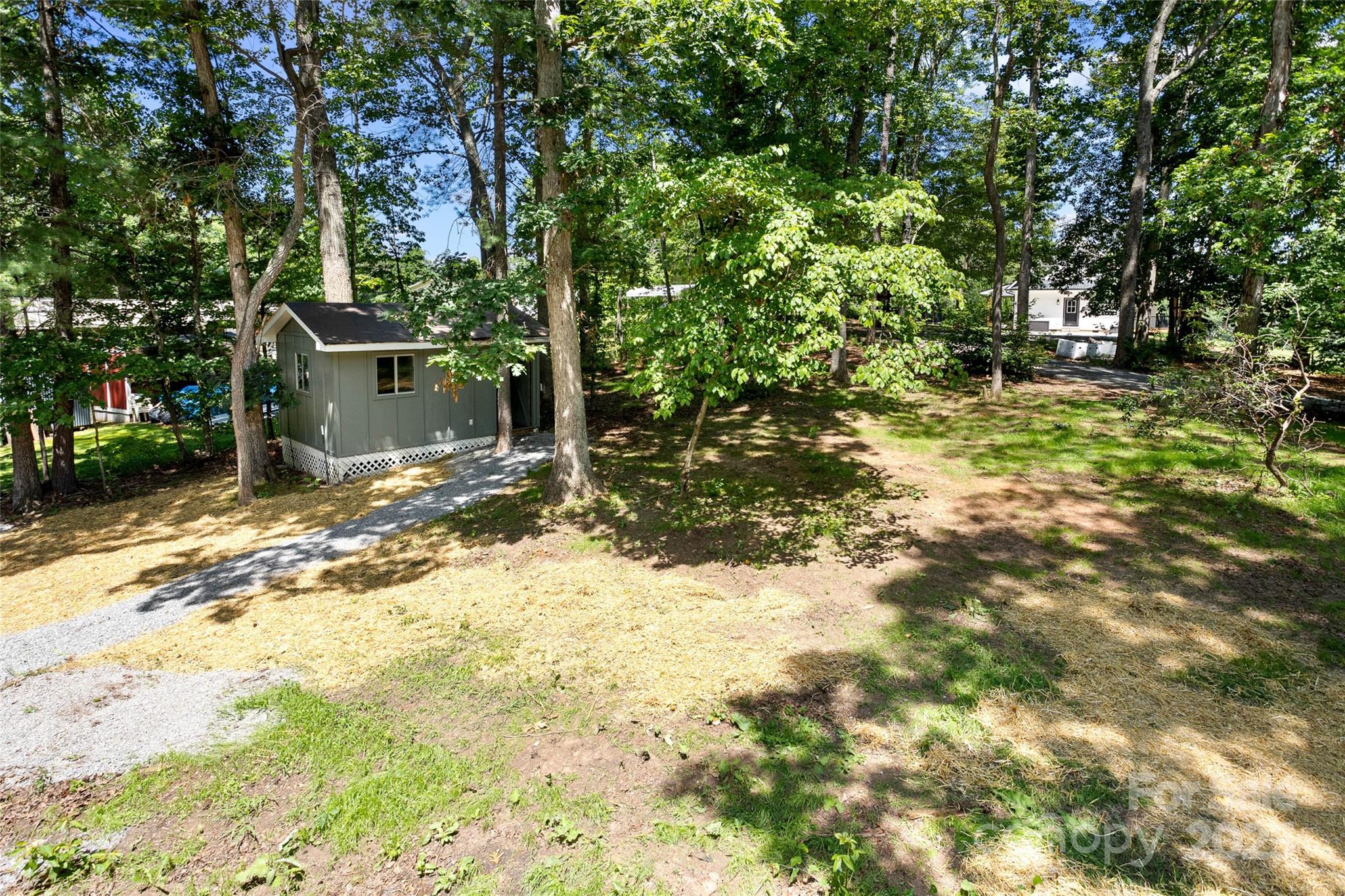 233 Youngs Cove Road Candler, NC 28715 - Photo 30 of 47 a view of a yard with plants and trees