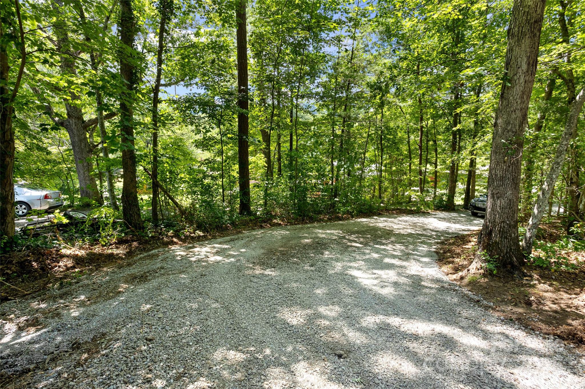 233 Youngs Cove Road Candler, NC 28715 - Photo 41 of 47 a view of outdoor space and trees