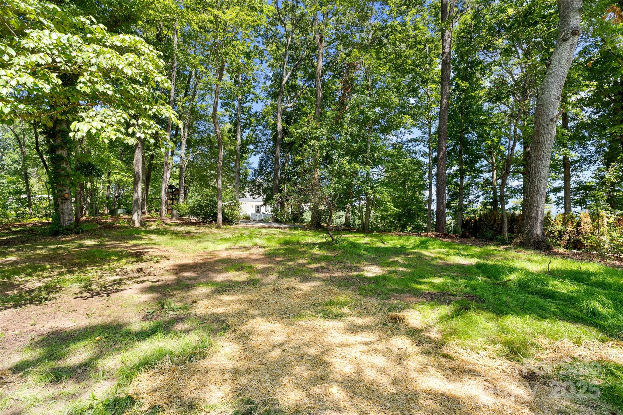 233 Youngs Cove Road Candler, NC 28715 - Photo 44 of 47 a view of outdoor space with trees all around
