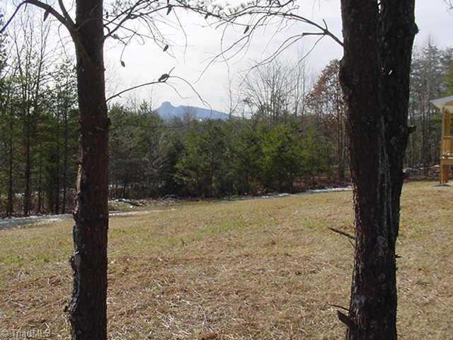 Xx1 Hunter Trail Road Pinnacle, NC 27043 - Photo 7 of 9 Other.