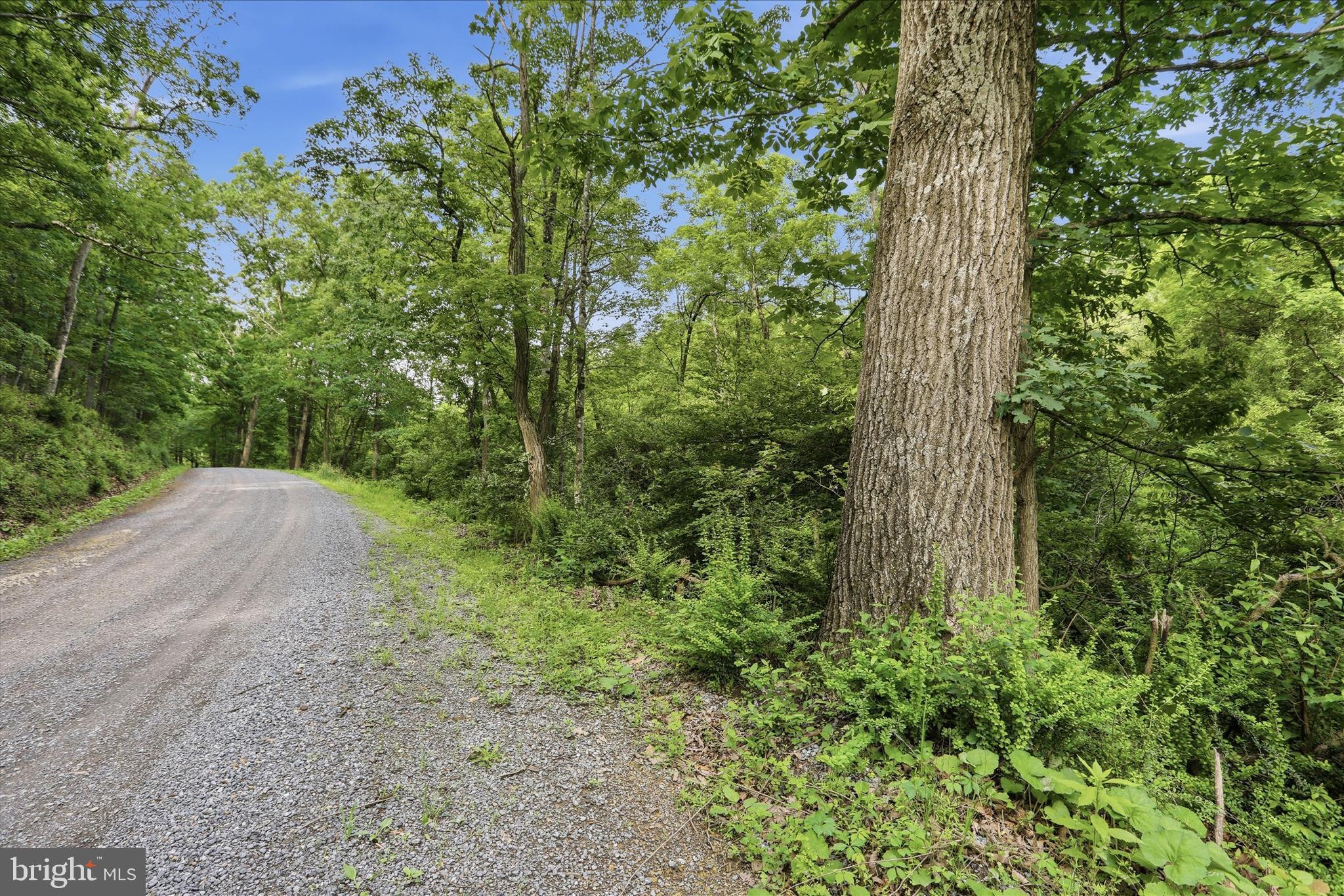 11.95-ac Luxemburg Road Baker, WV 26801 - Photo 4 of 23