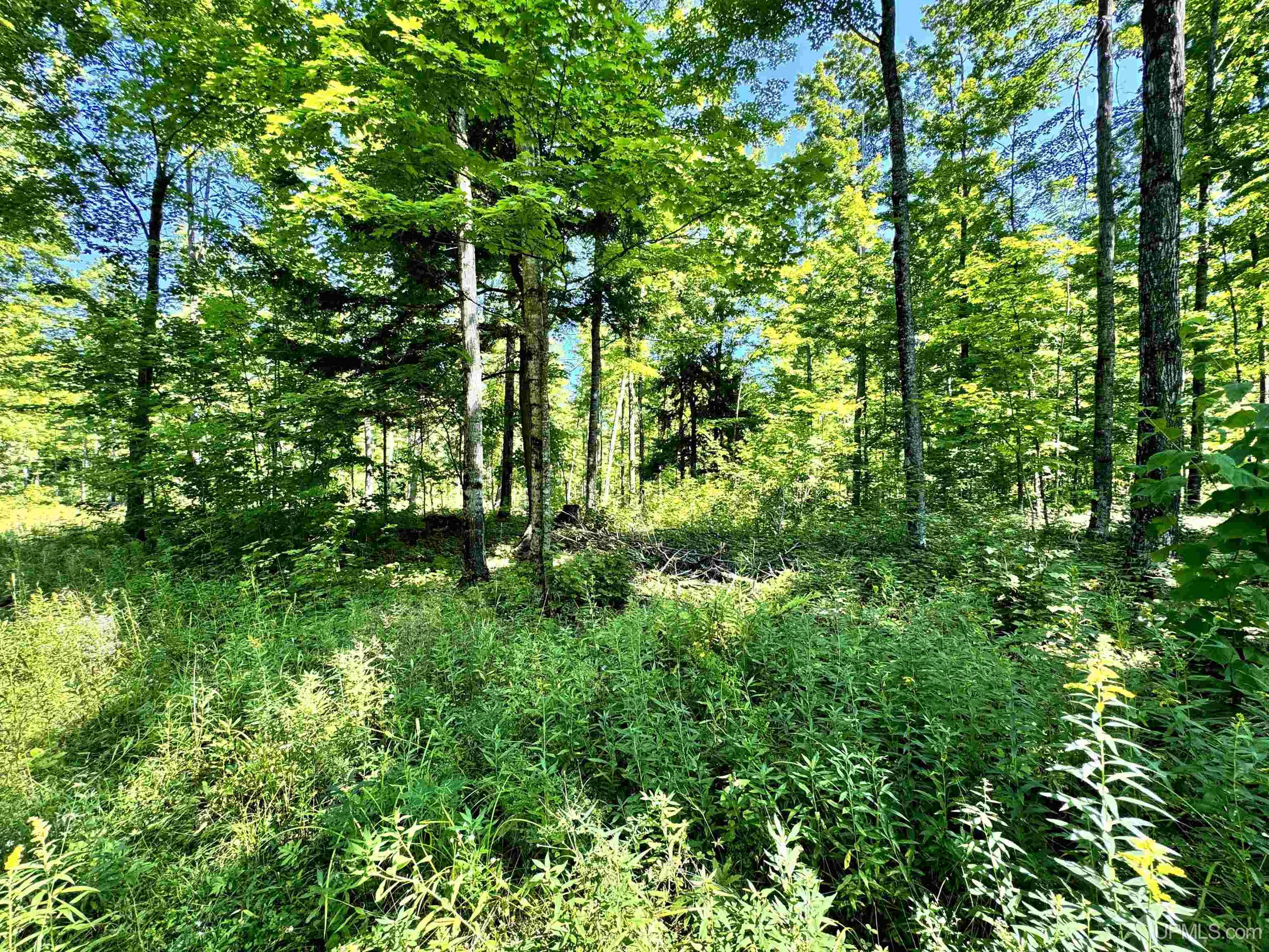 23867 Huron Road Skanee, MI 49962 - Photo 6 of 33 Gallery Image 6