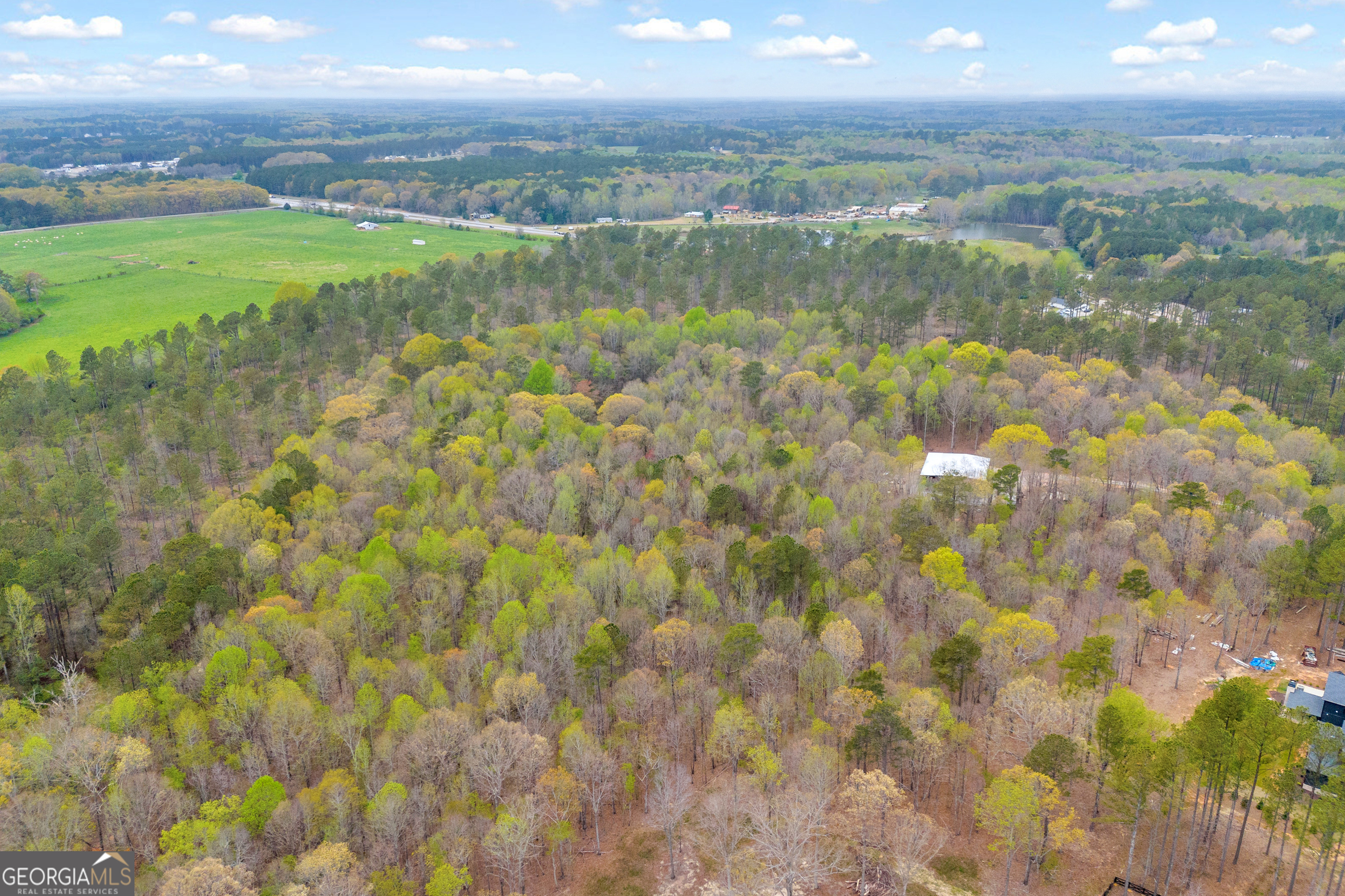 0 Locklin Road Monroe, GA 30655 - Photo 1 of 1
