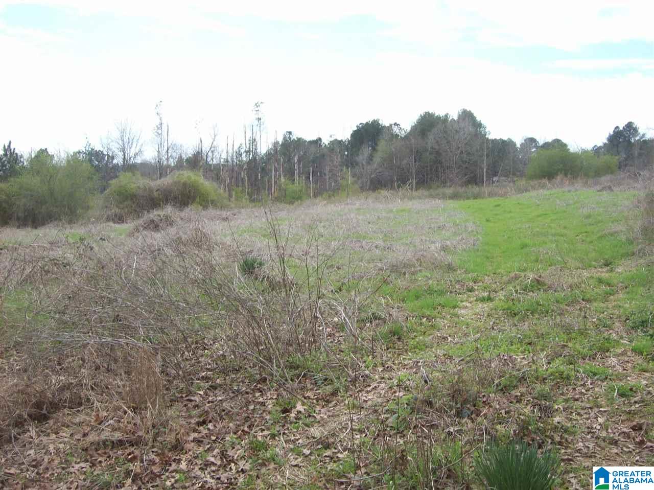 650 Arkadelphia Road, Unit 16 Warrior, AL 35180 - Photo 1 of 2