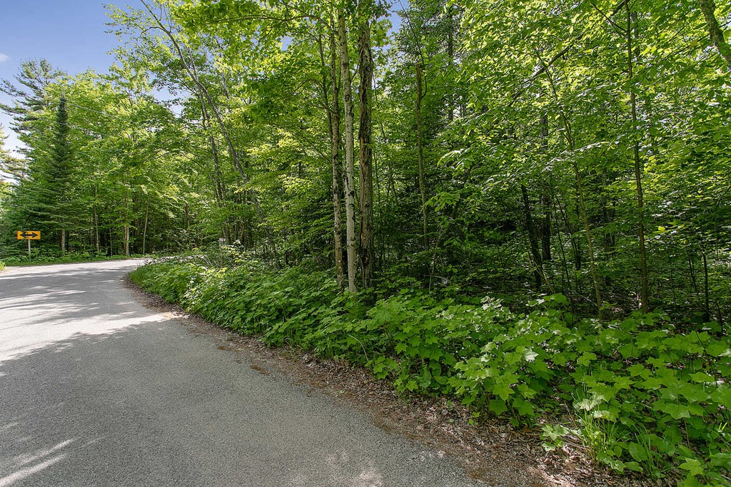 Lot 1 Jorns Road Sturgeon Bay, WI 54235 - Photo 7 of 11