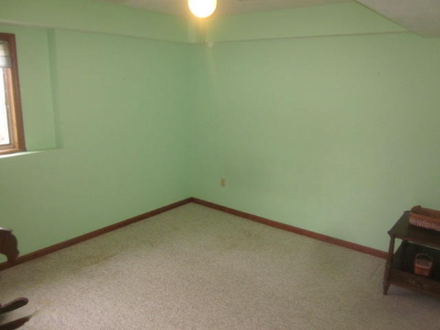 1593 Bachman Road Hastings, MI 49058 - Photo 11 of 20 039.JPG