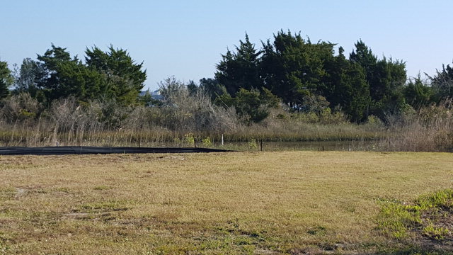 176 Atkinson Road Surf City, NC 28445 - Photo 1 of 6 Primary Photo