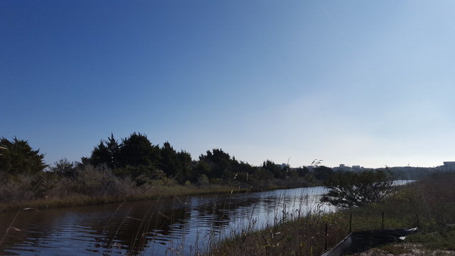 176 Atkinson Road Surf City, NC 28445 - Photo 4 of 6 Additional Photo