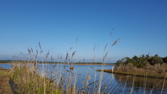 176 Atkinson Road Surf City, NC 28445 - Photo 5 of 6 Additional Photo