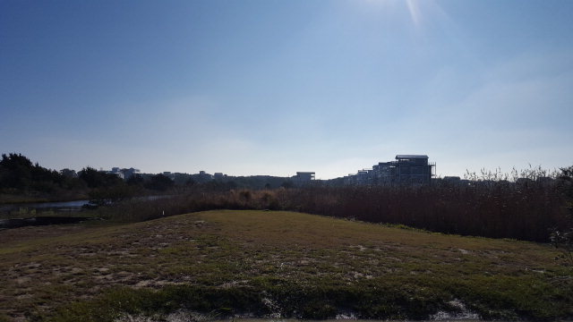 176 Atkinson Road Surf City, NC 28445 - Photo 6 of 6 Additional Photo
