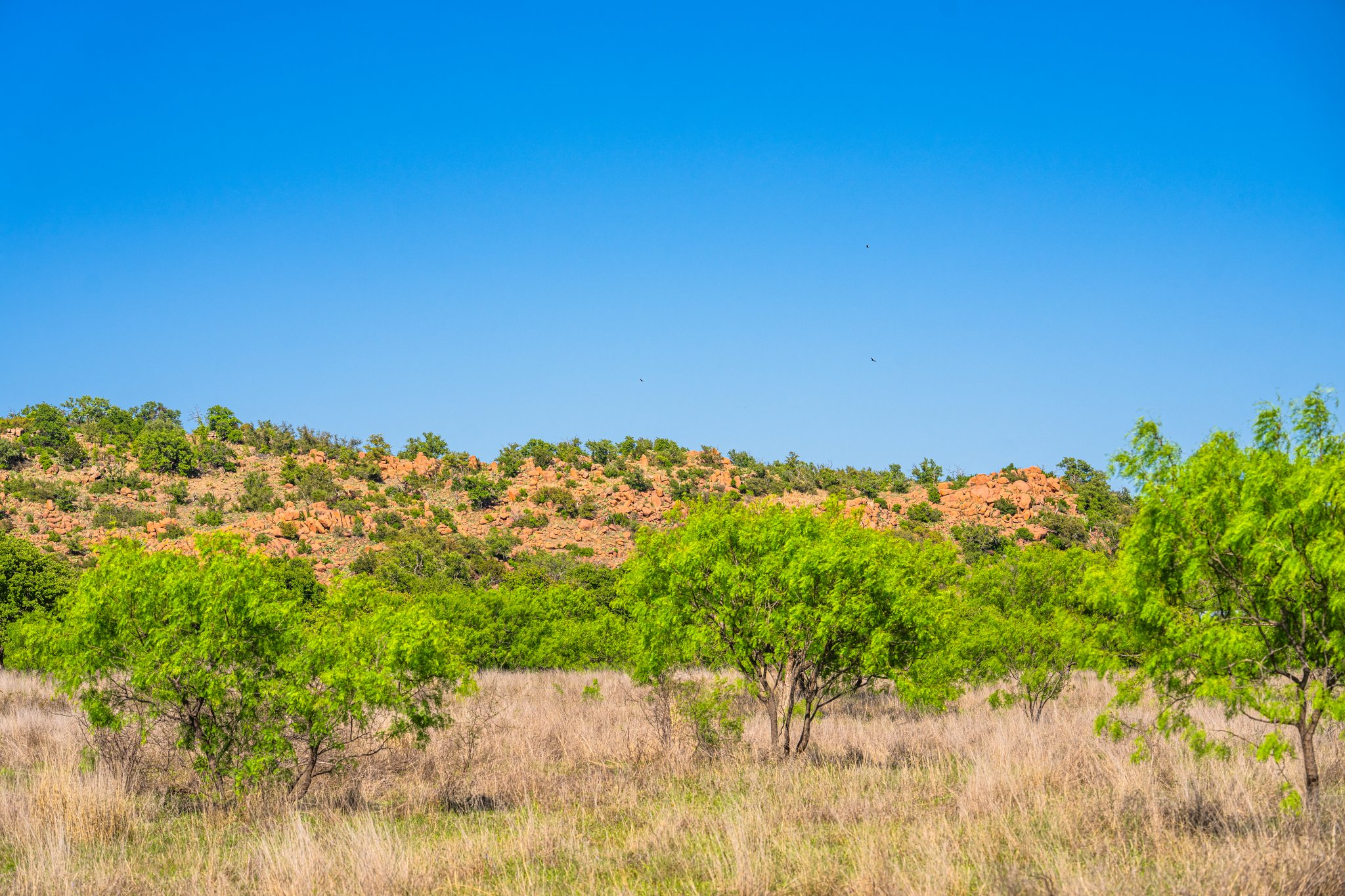 5230 County Road 409 Llano, TX 78643 - Photo 13 of 21