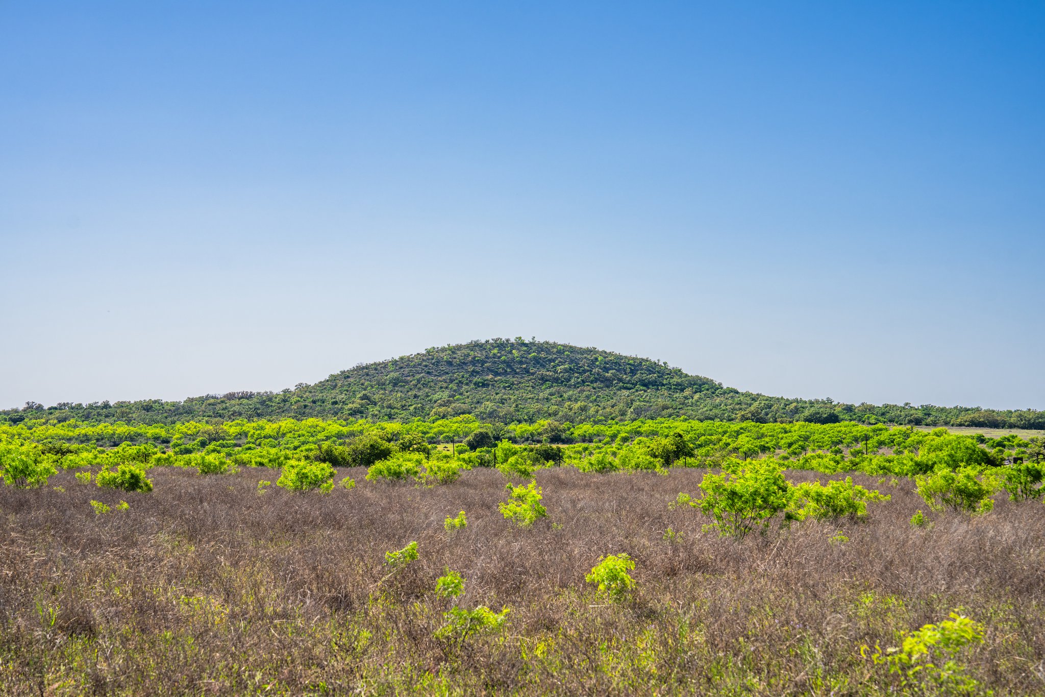 5230 County Road 409 Llano, TX 78643 - Photo 14 of 21 a view of a garden