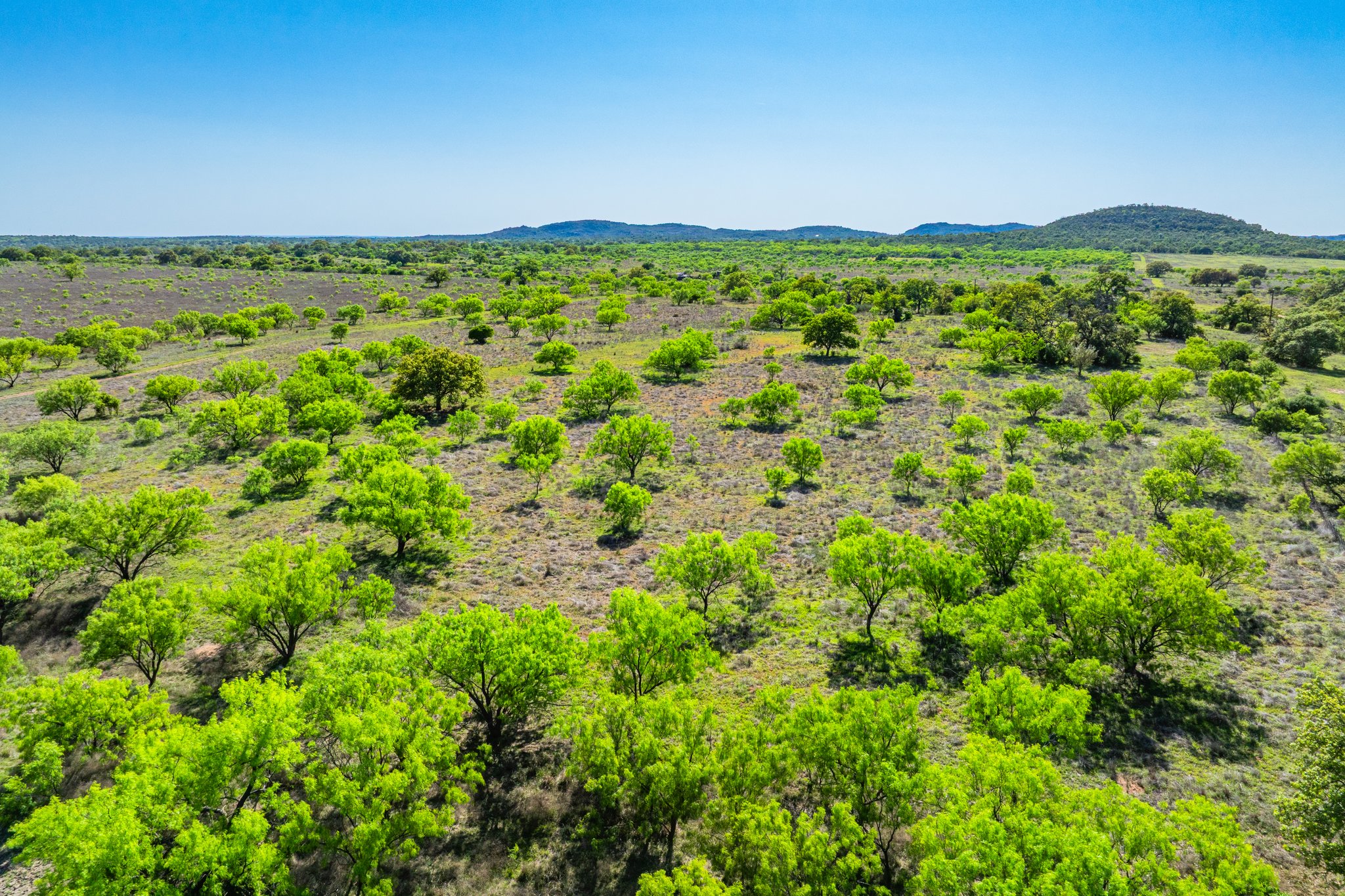 5230 County Road 409 Llano, TX 78643 - Photo 17 of 21 a view of a green field with lots of bushes