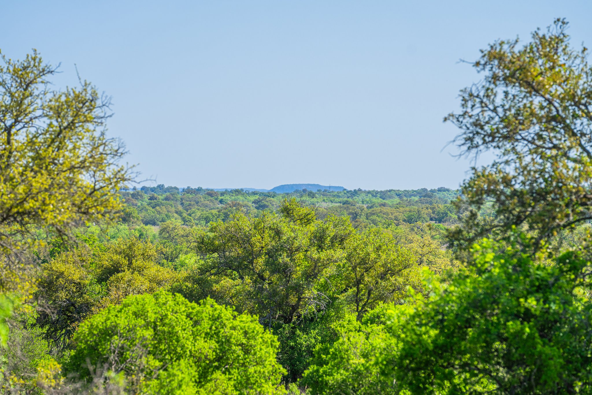 5230 County Road 409 Llano, TX 78643 - Photo 8 of 21 a view of a green field with lots of bushes