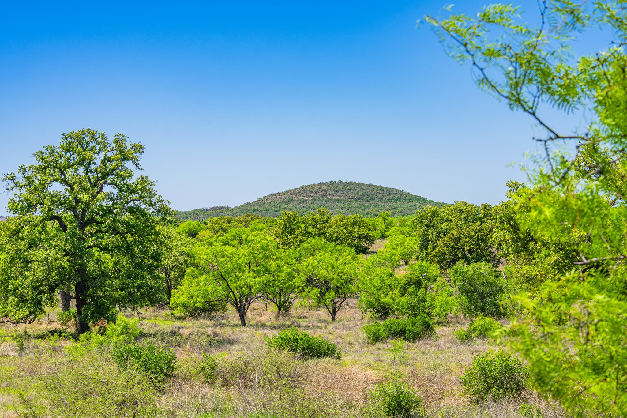5230 County Road 409 Llano, TX 78643 - Photo 10 of 21 a view of a yard