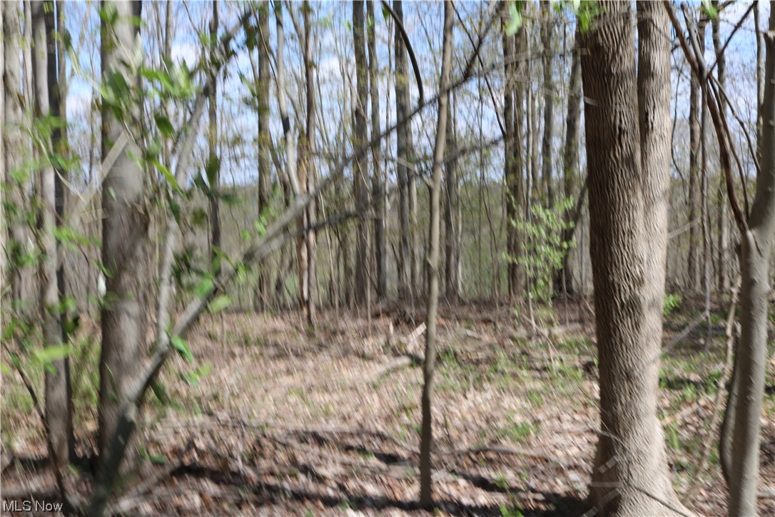 Hootowl Ridge Road Caldwell, OH 43724 - Photo 26 of 30 Gallery Image 26