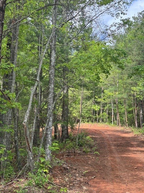 0 Tyler Lane Marble, NC 28905 - Photo 15 of 31