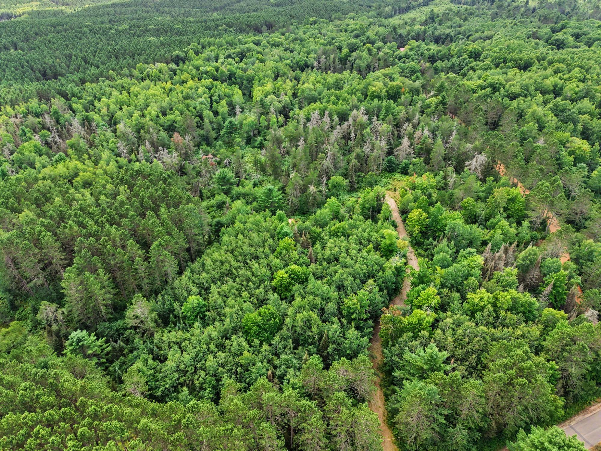 On River Road, Unit 25ACRES Eagle River, WI 54521 - Photo 5 of 14 Gallery Image 5
