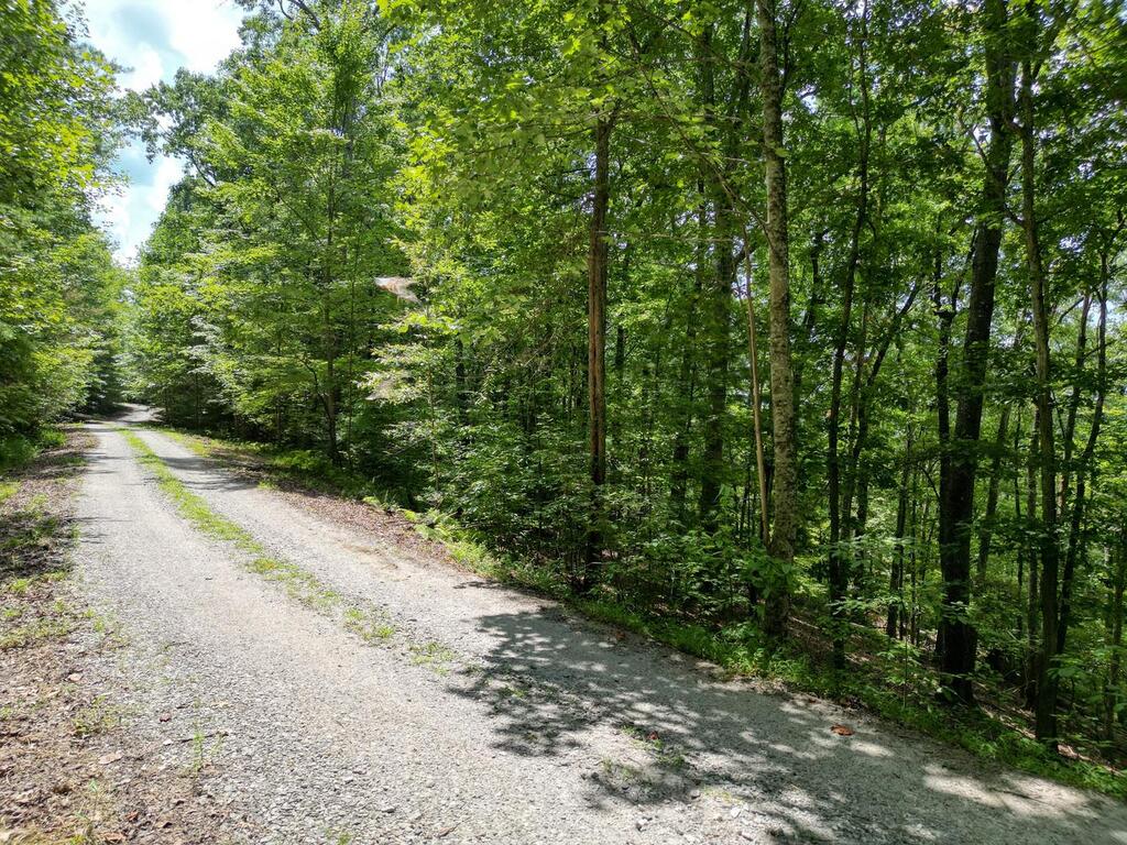 Lot 7 Noontootla Overlook Blue Ridge Blue Ridge, GA 30513 - Photo 5 of 11 Gallery Image 5