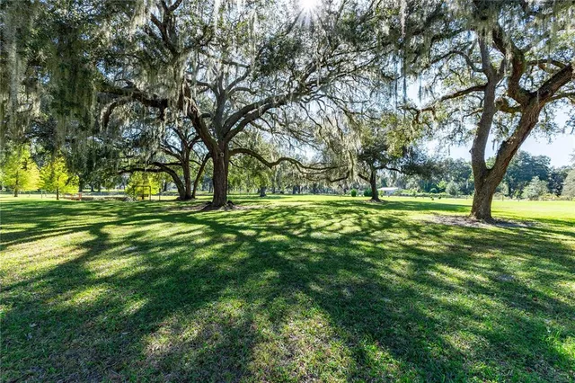 an outdoor view of a garden with sitting area