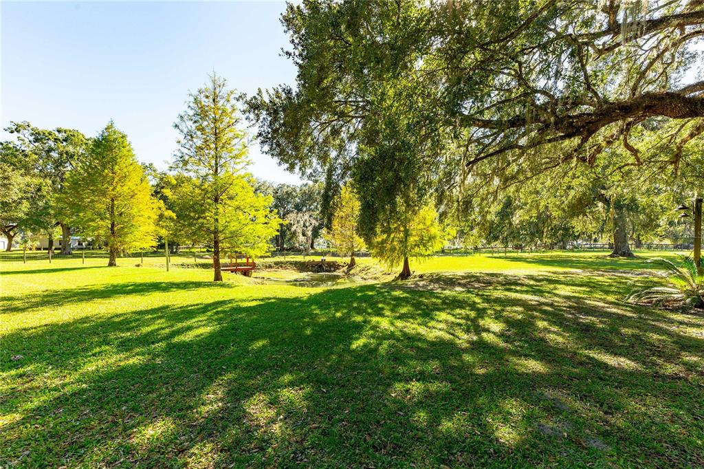 7037 County Road 625 Bushnell, FL 33513 - Photo 4 of 72 a view of yard with swimming pool