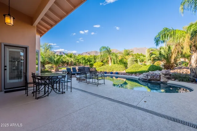 a view of a palm plant in front of a building