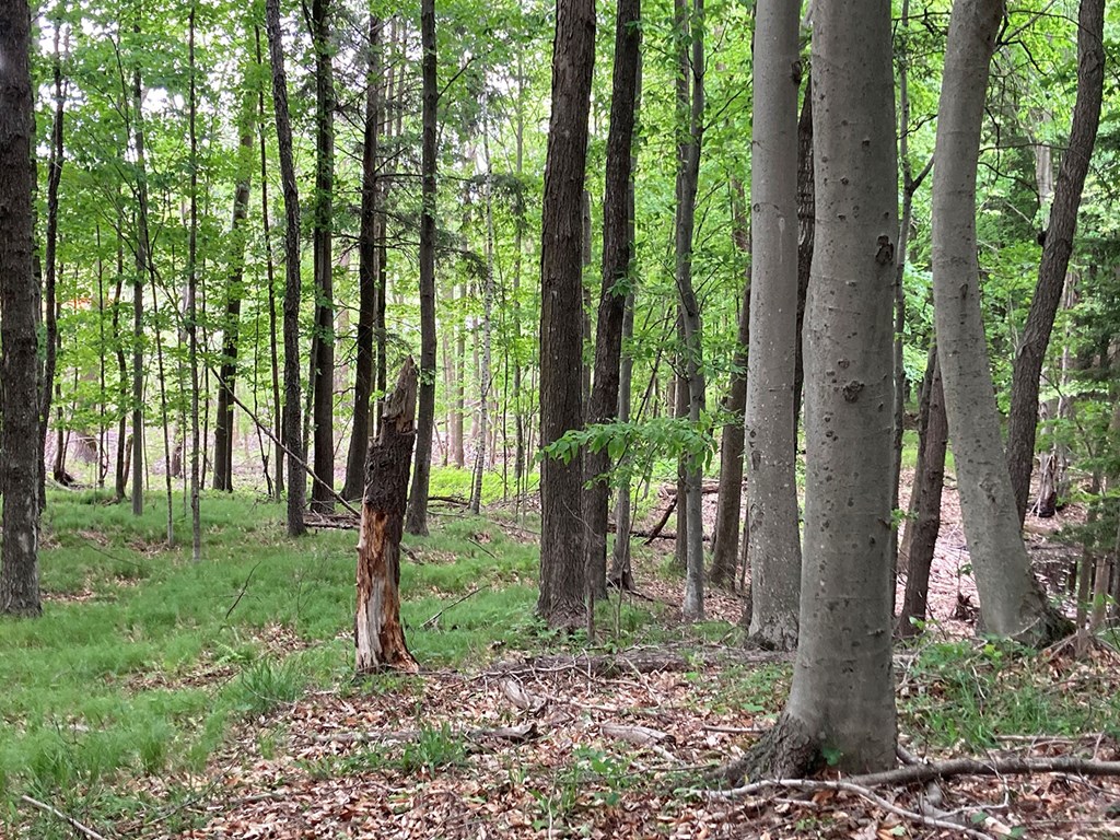 Lot 2 Kasmer Road Mishicot, WI 54228 - Photo 4 of 8