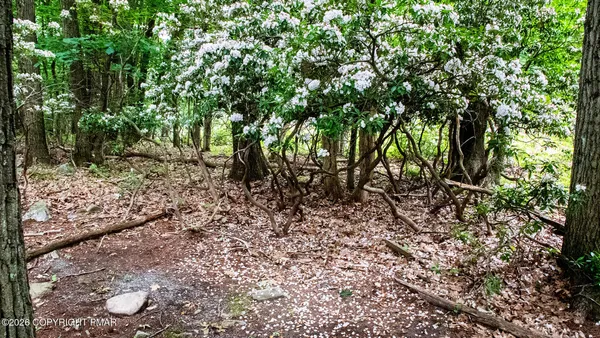 a view of outdoor space and trees