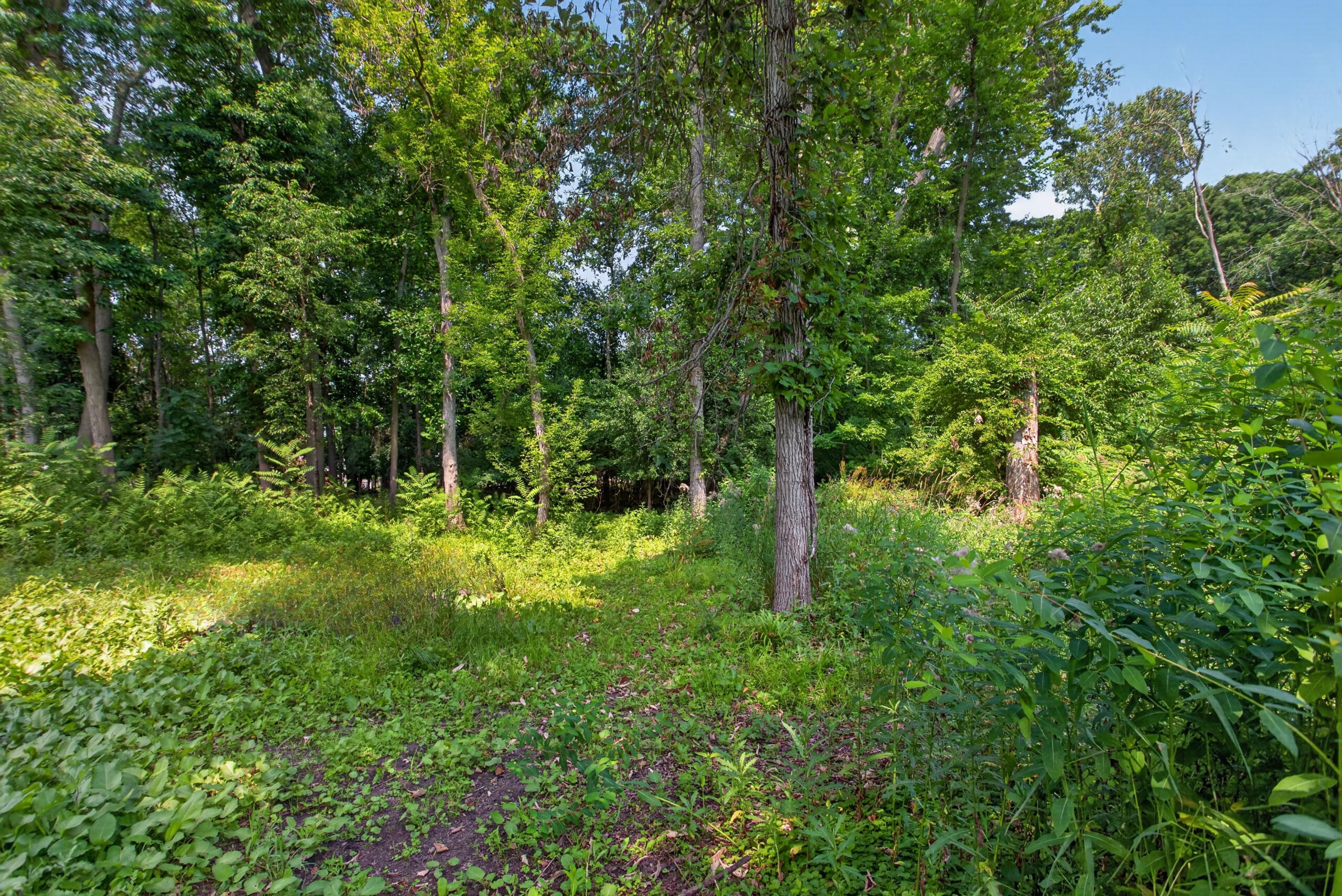 2430 Kibby Road Jackson, MI 49203 - Photo 31 of 35 IMG_0983