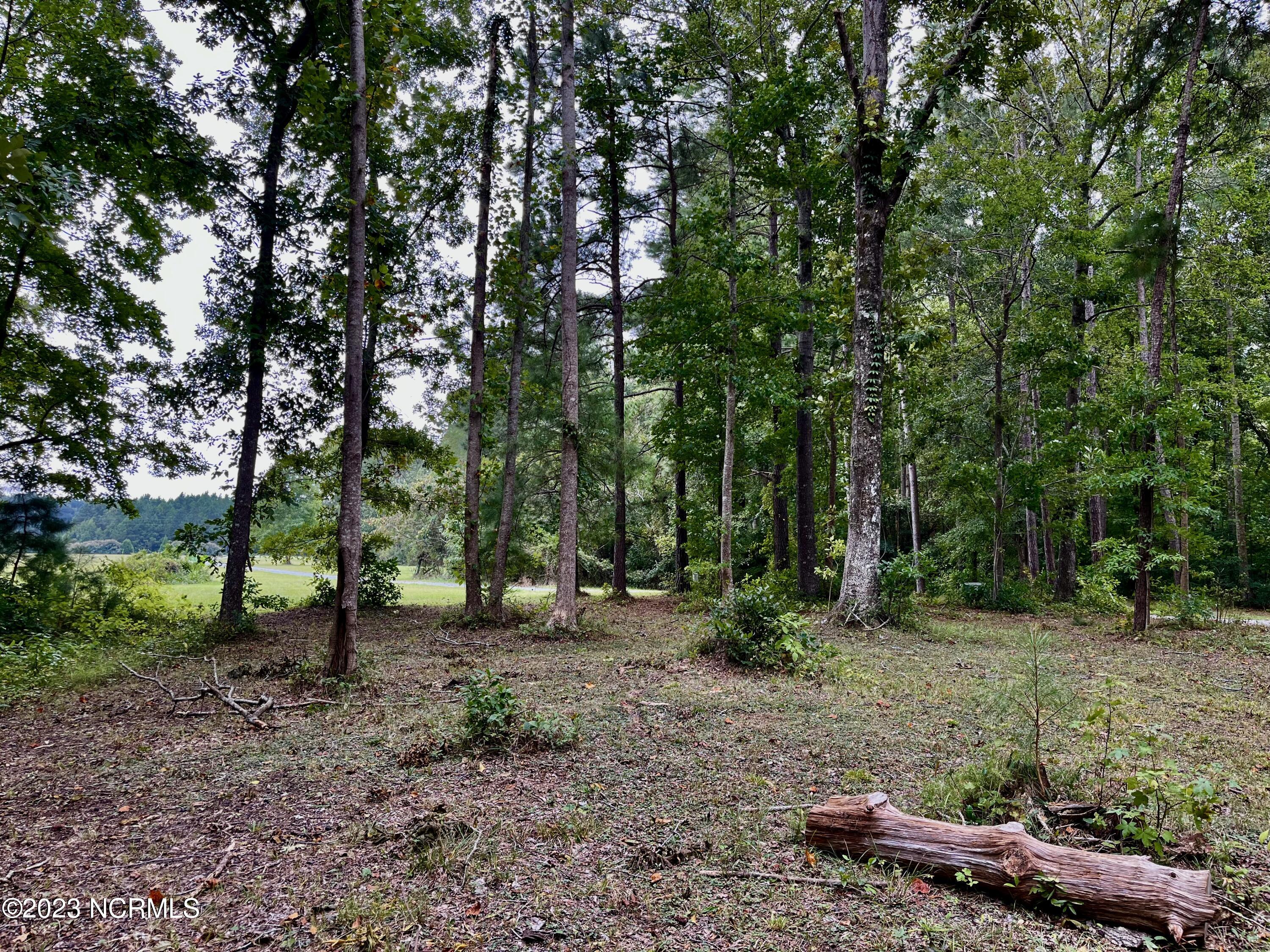 158 Fisher Turnpike Road Arapahoe, NC 28510 - Photo 8 of 27 Lot