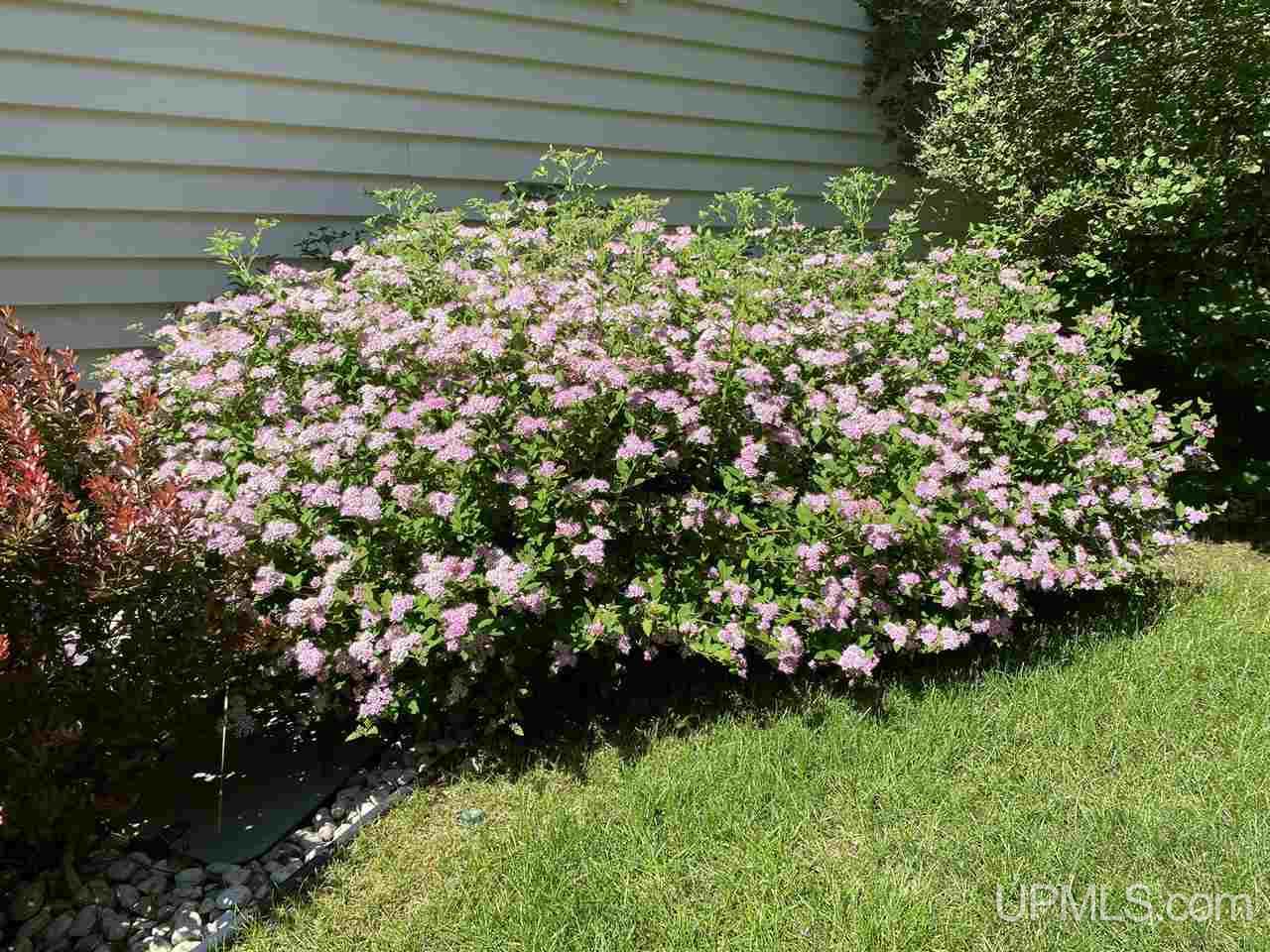 154 Lakeside Road Manistique, MI 49854 - Photo 44 of 55 Gallery Image 44