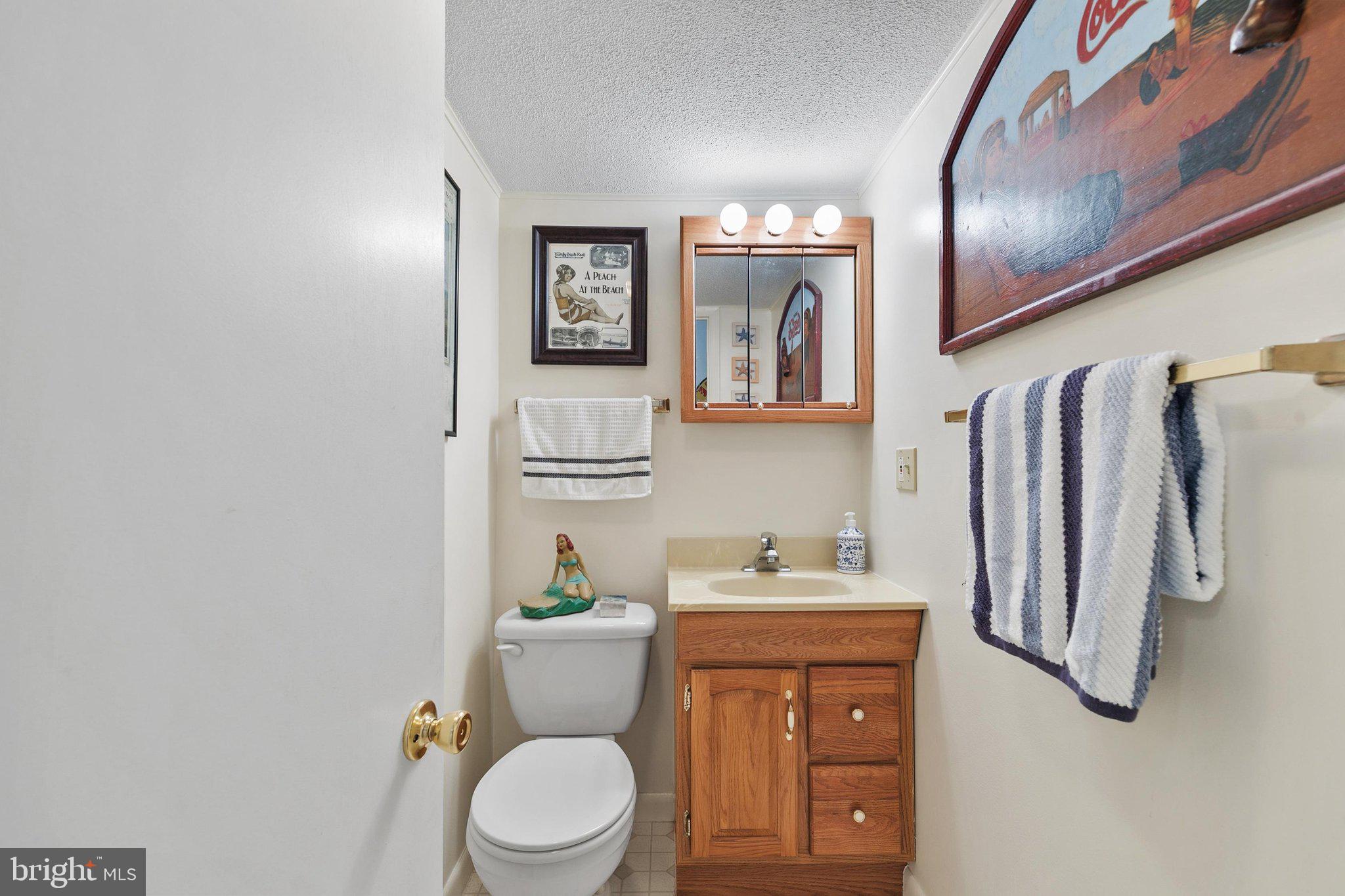 181 Jamestown Road, Unit 5 Ocean City, MD 21842 - Photo 32 of 64 Powder Bathroom