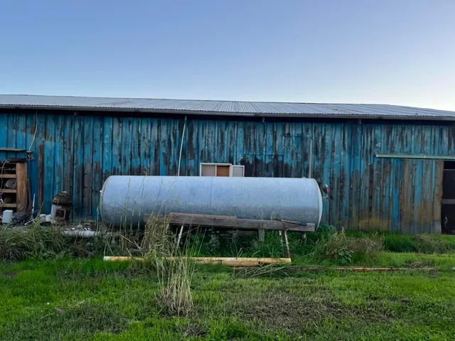 a view of a small yard
