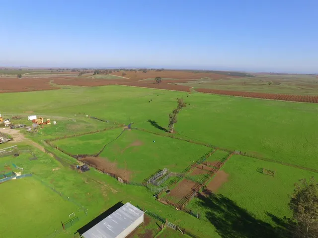 $1,850,000 | 29266 Dry Creek Road, Galt, CA 95632