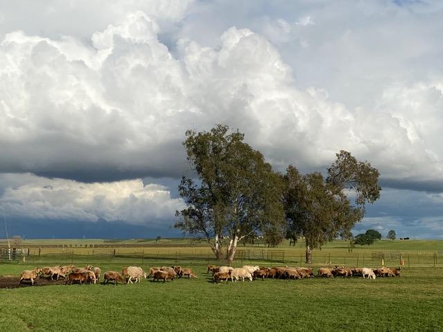 29266 Dry Creek Road Galt, CA 95632 - Photo 24 of 44