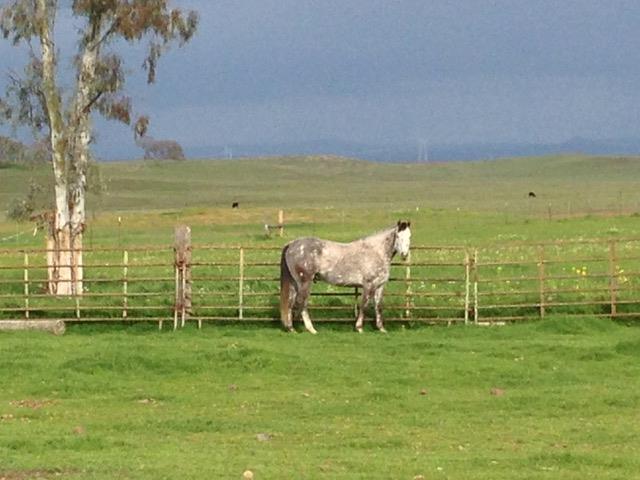 29266 Dry Creek Road Galt, CA 95632 - Photo 25 of 44 a view of a lake with a table and chairs