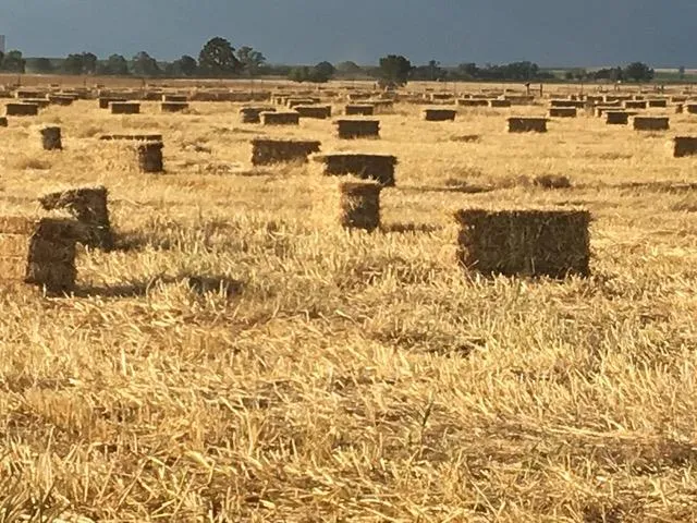 $1,850,000 | 29266 Dry Creek Road, Galt, CA 95632