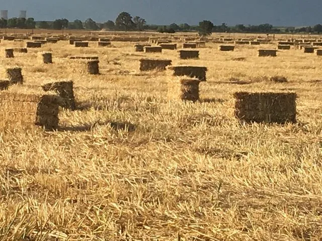 $1,850,000 | 29266 Dry Creek Road, Galt, CA 95632